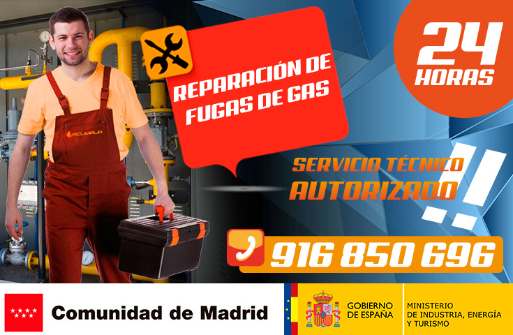 reparación de fugas de gas Natural en Leganés